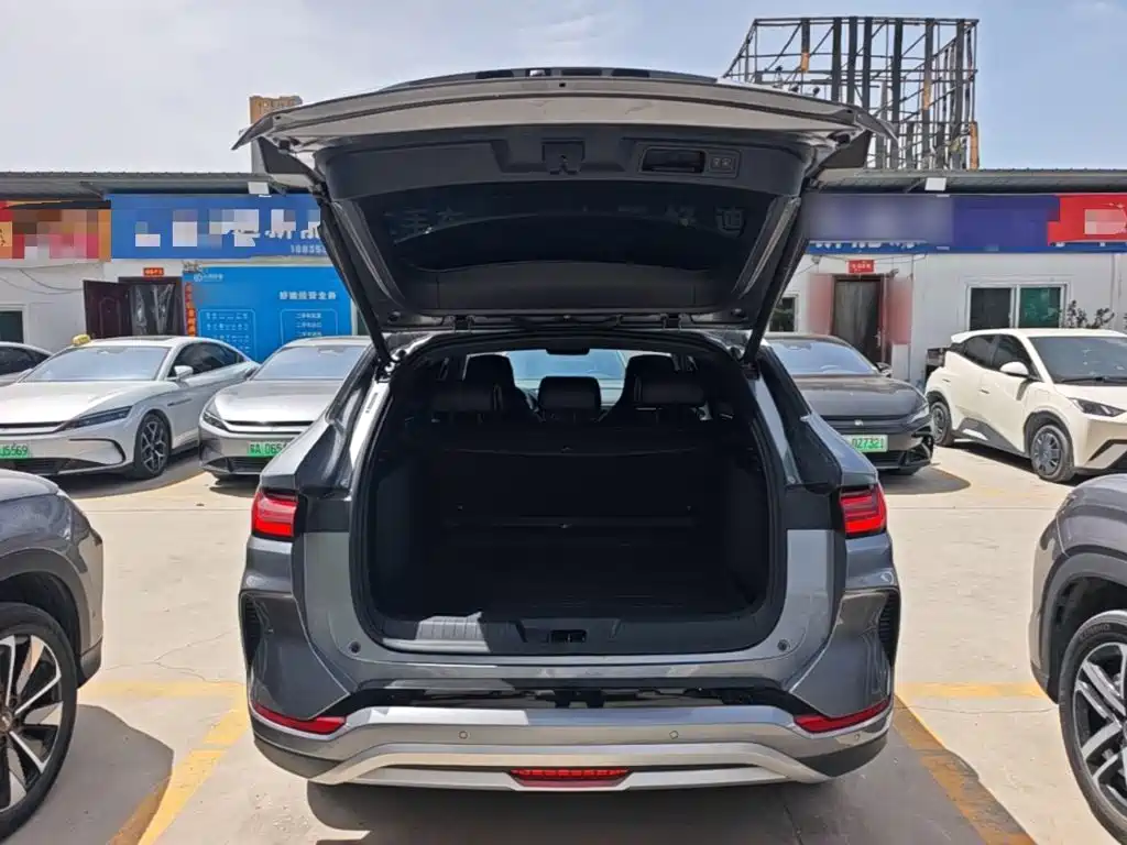 BYD Song PLUS New Energy 2024 — фото 15