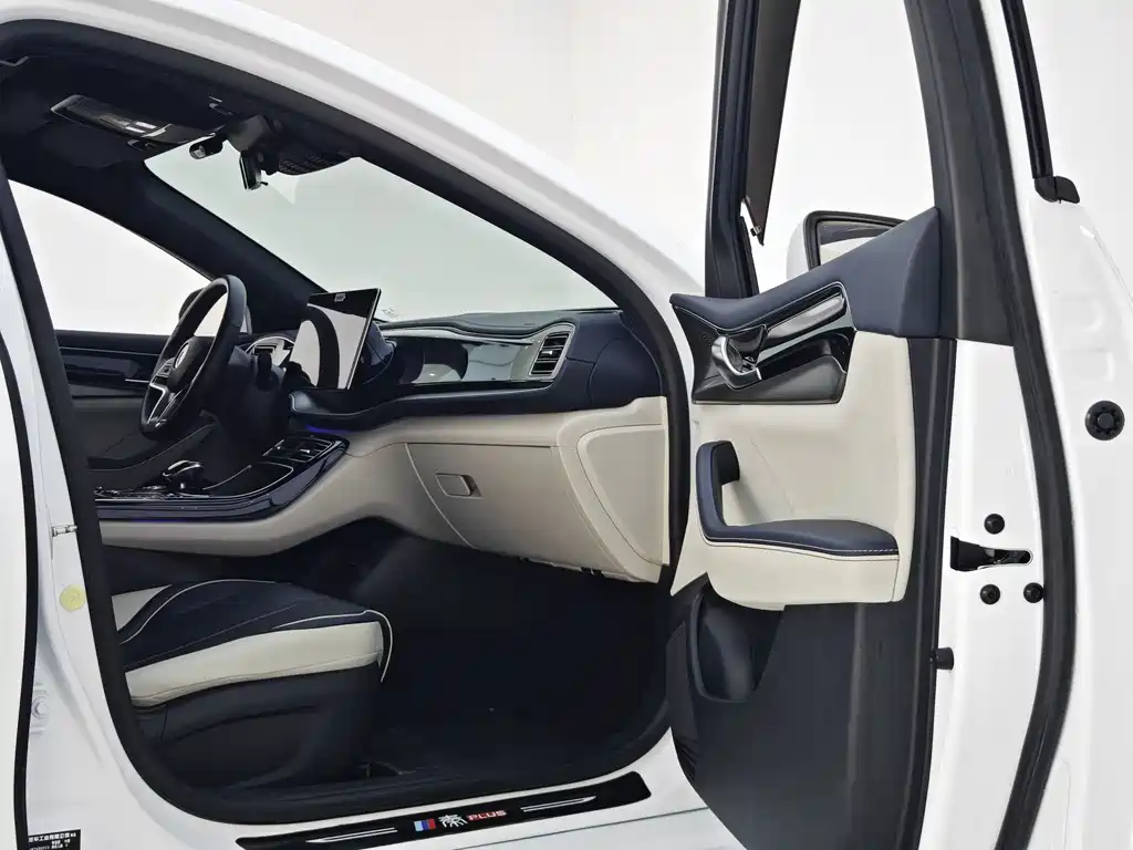 BYD Qin PLUS 2023 — фото 19