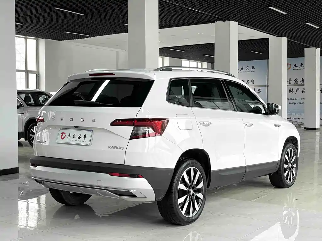 Skoda Karoq 2021 — фото 6