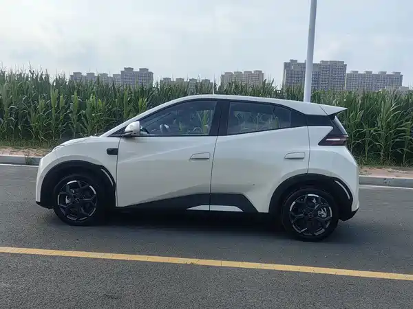 BYD Seagull 2025