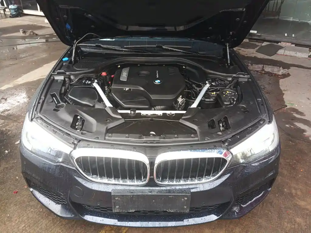 BMW 5 Series 2019 — фото 16