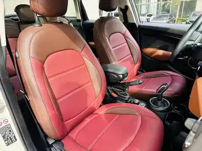 MINI MINI 2019