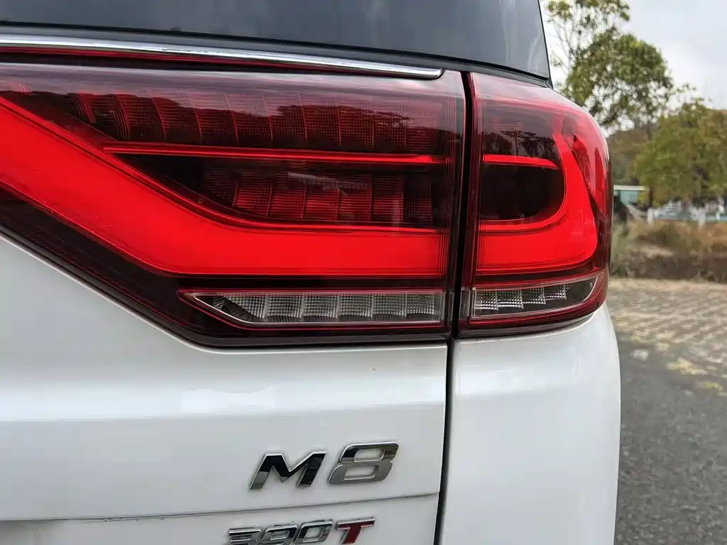 GAC Trumpchi M8 2021 — фото 18