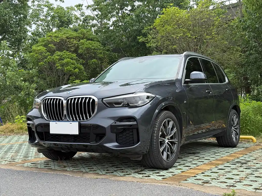 BMW X5 2021