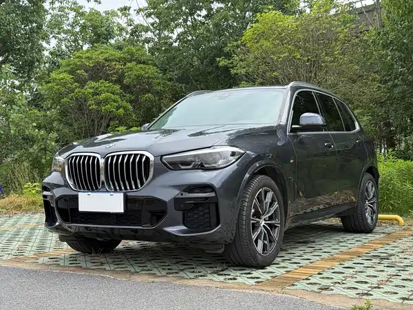BMW X5 2021