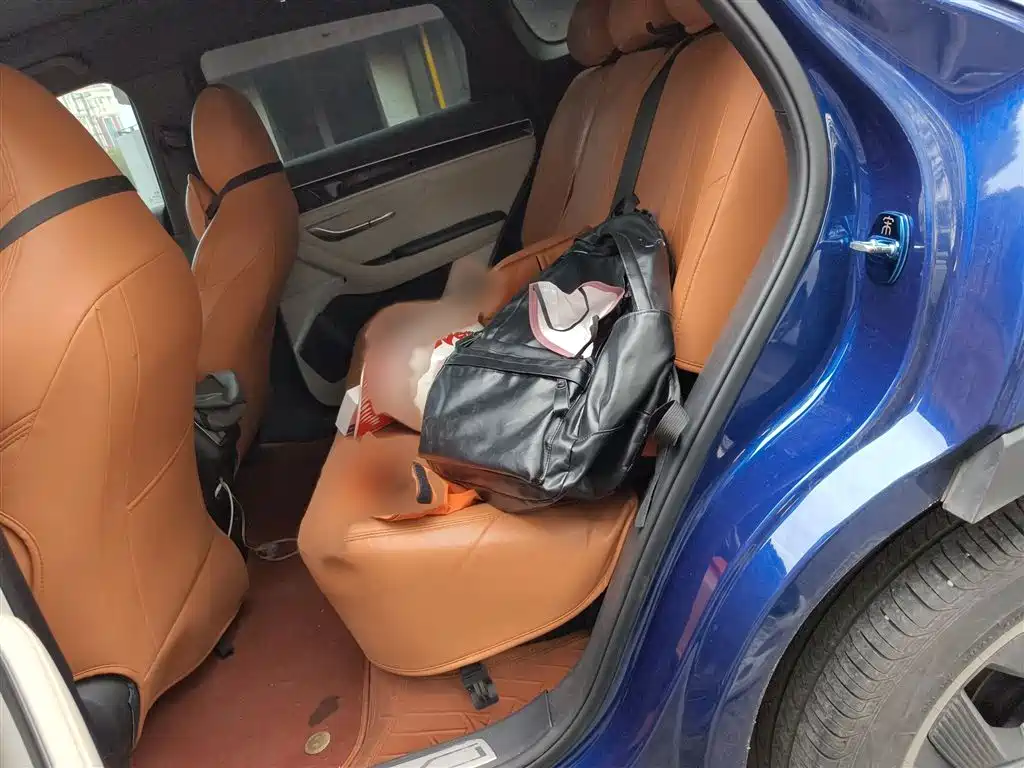 BYD PLUS New Energy 2023 — фото 15