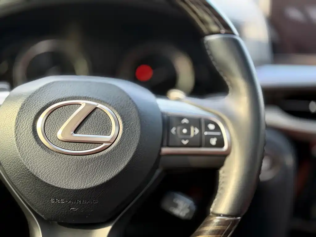 Lexus LX 2019 — фото 22