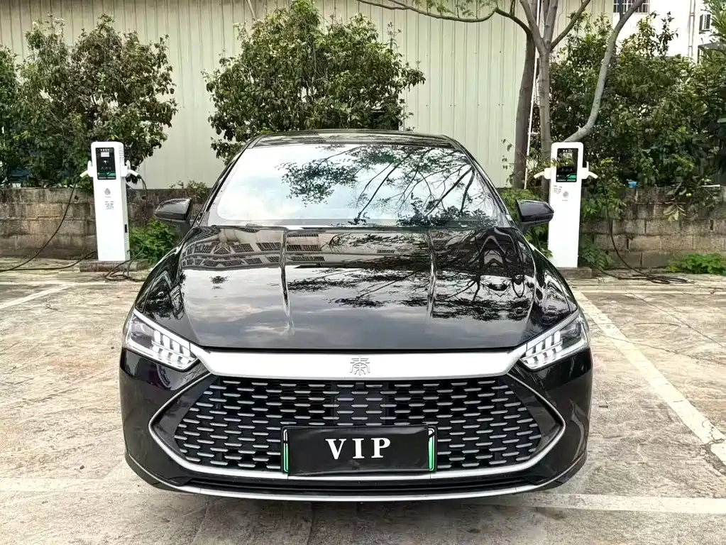 BYD Qin PLUS 2023 — фото 2