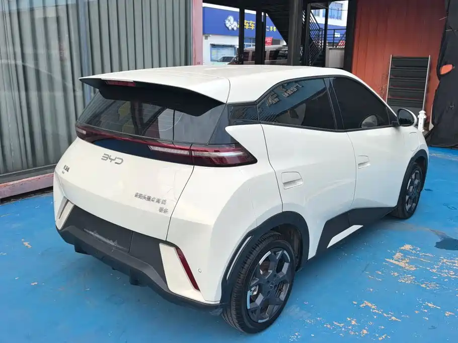 BYD Seagull 2024