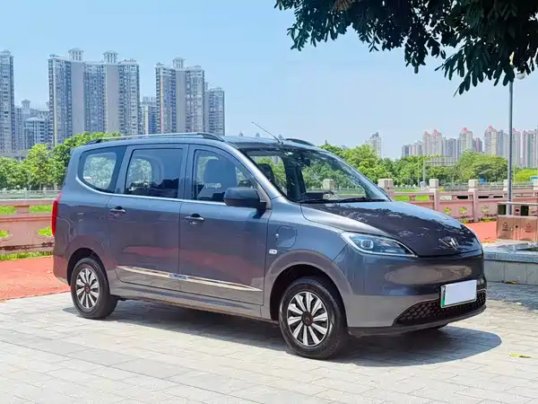 Wuling Hongguang New Energy 2025