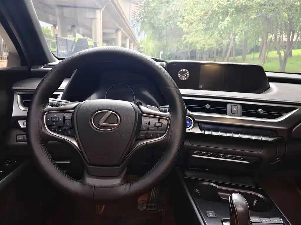Lexus UX New Energy 2023 — фото 16