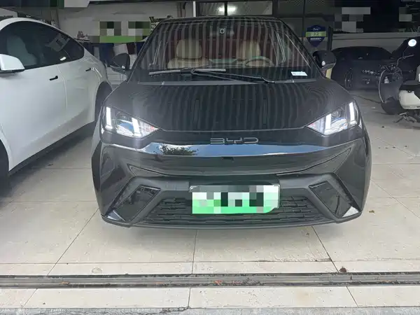 BYD Seagull 2024
