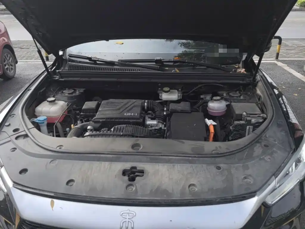 BYD Pro New Energy 2024 — фото 11