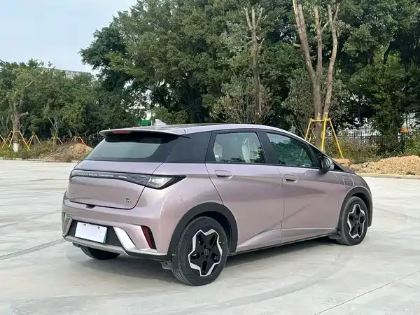BYD Dolphin 2021