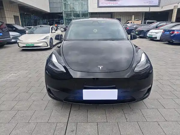 Tesla Model Y 2021