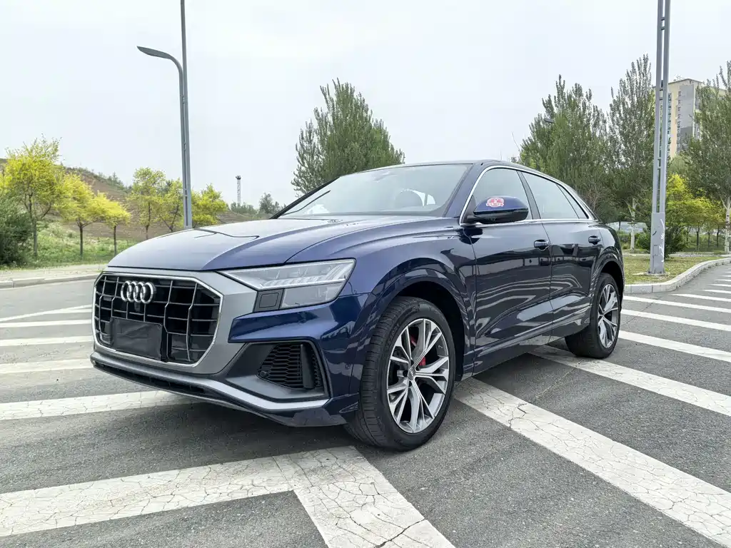 Audi Q8 2019