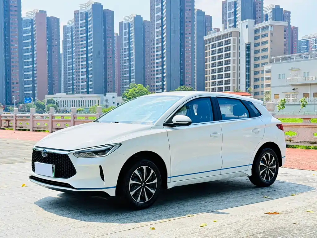 BYD e2 2021