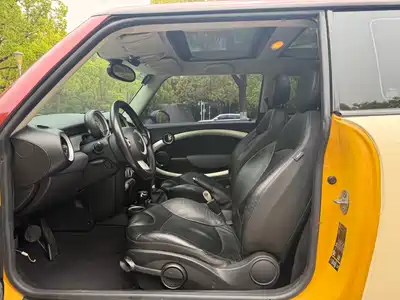 MINI MINI 2010