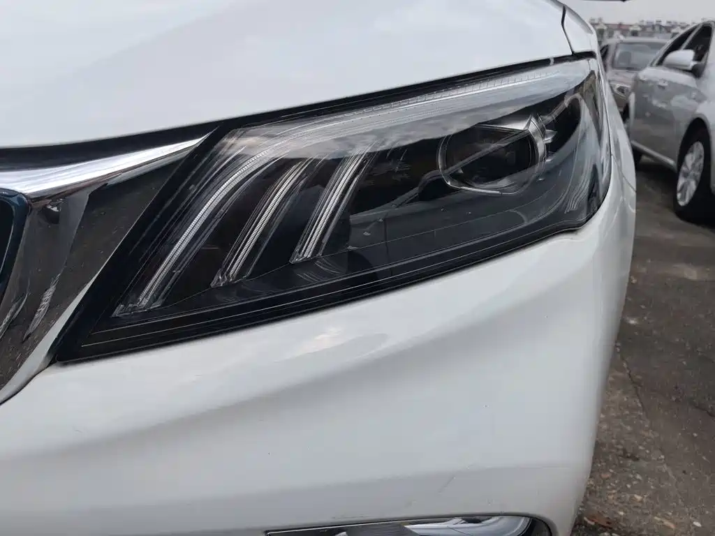 Geely Binrui 2021