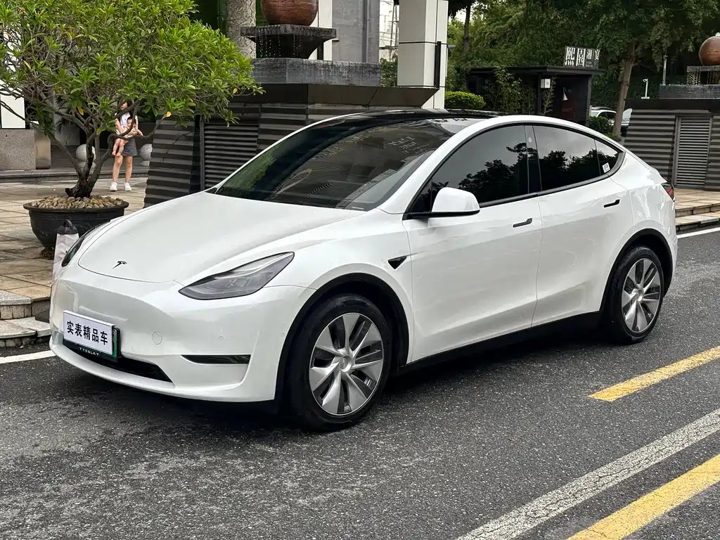 Tesla Model Y 2021 — фото 1