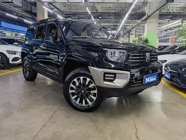 Tank 700 New Energy 2024