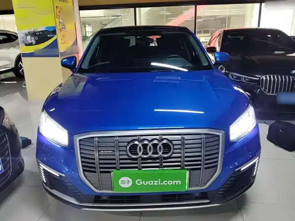 Audi Q2L E-Tron 2021