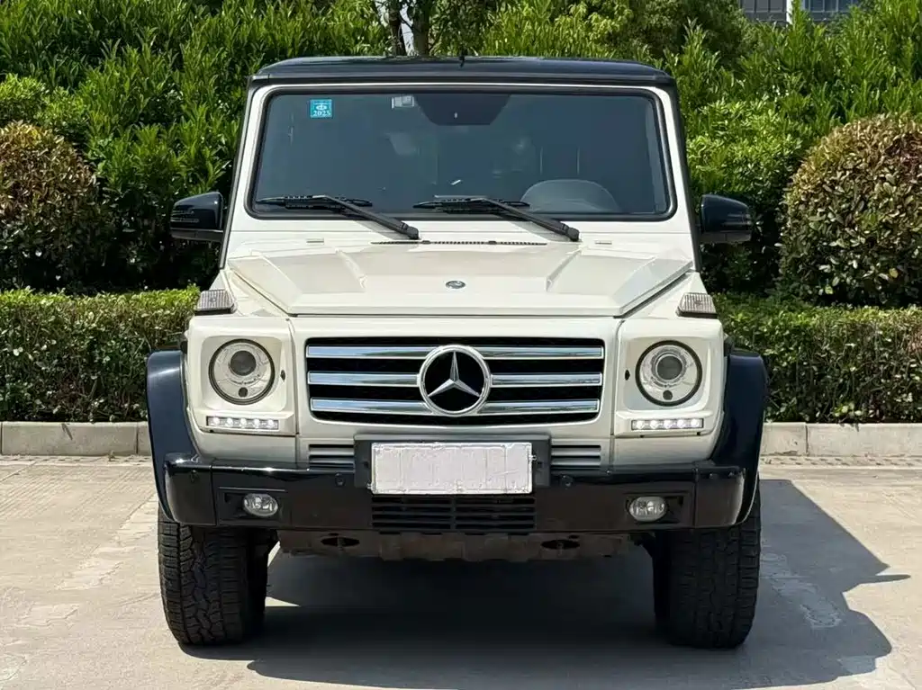 Mercedes-Benz G-Class 2015 — фото 2