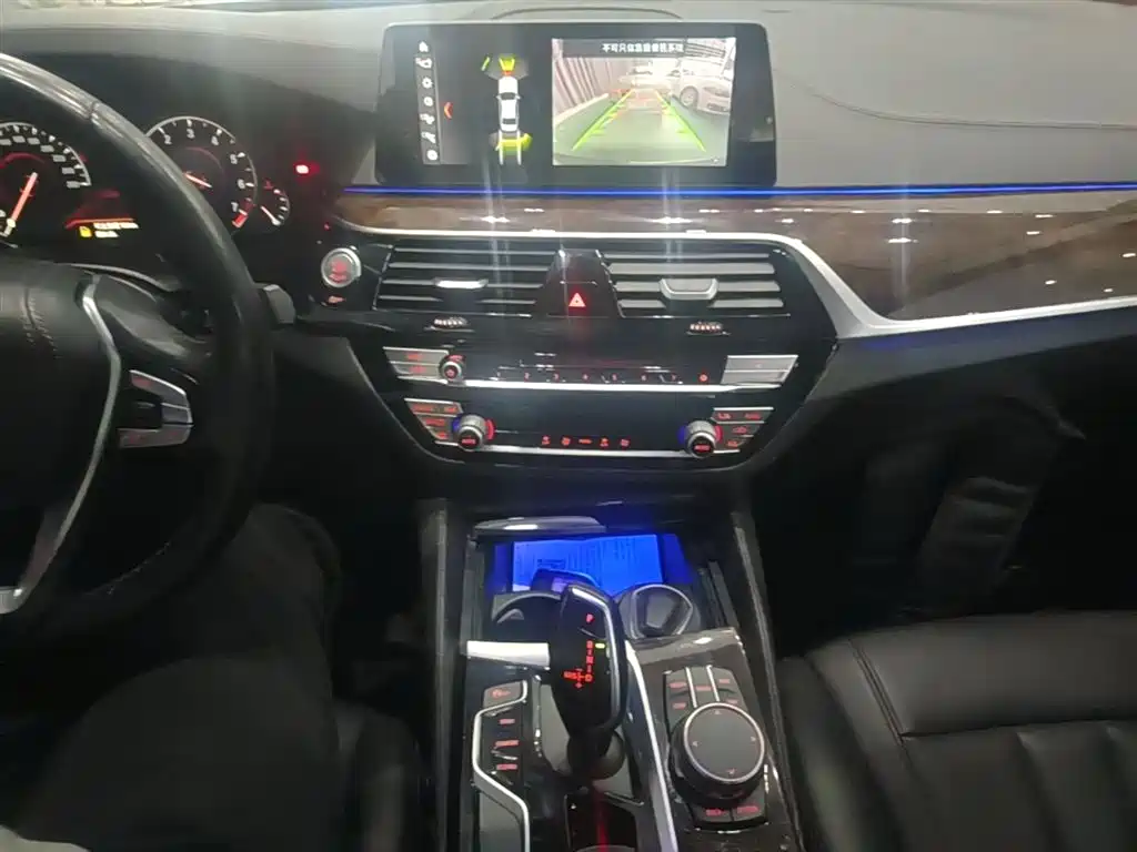 BMW 5 Series 2019 — фото 14