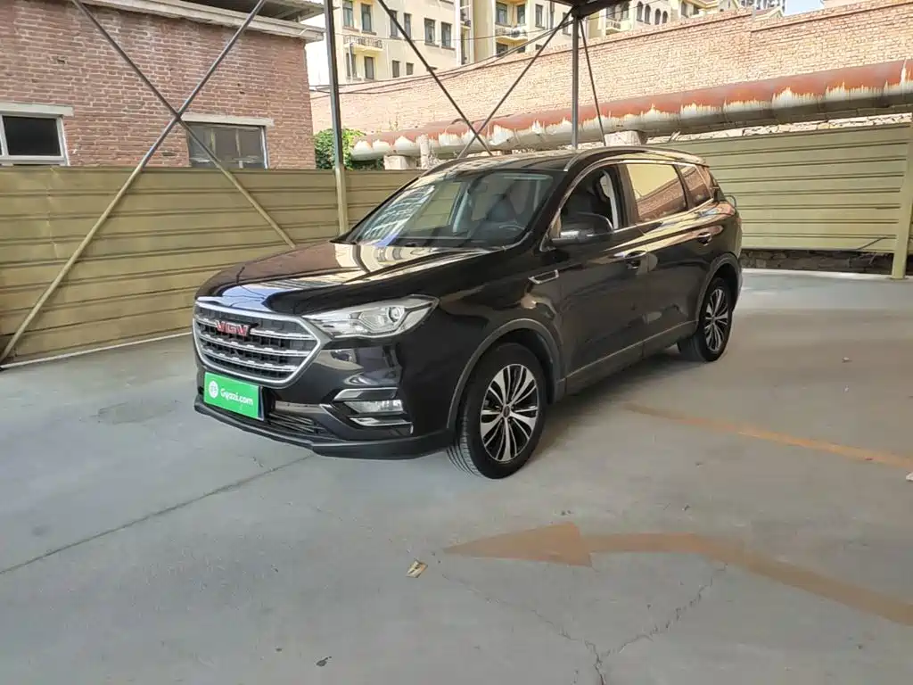 VGV U70 2020