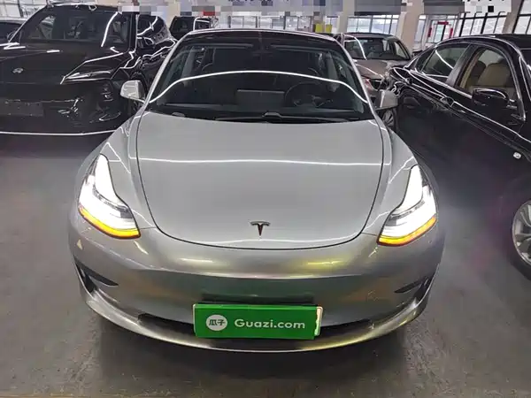 Tesla Model 3 2019
