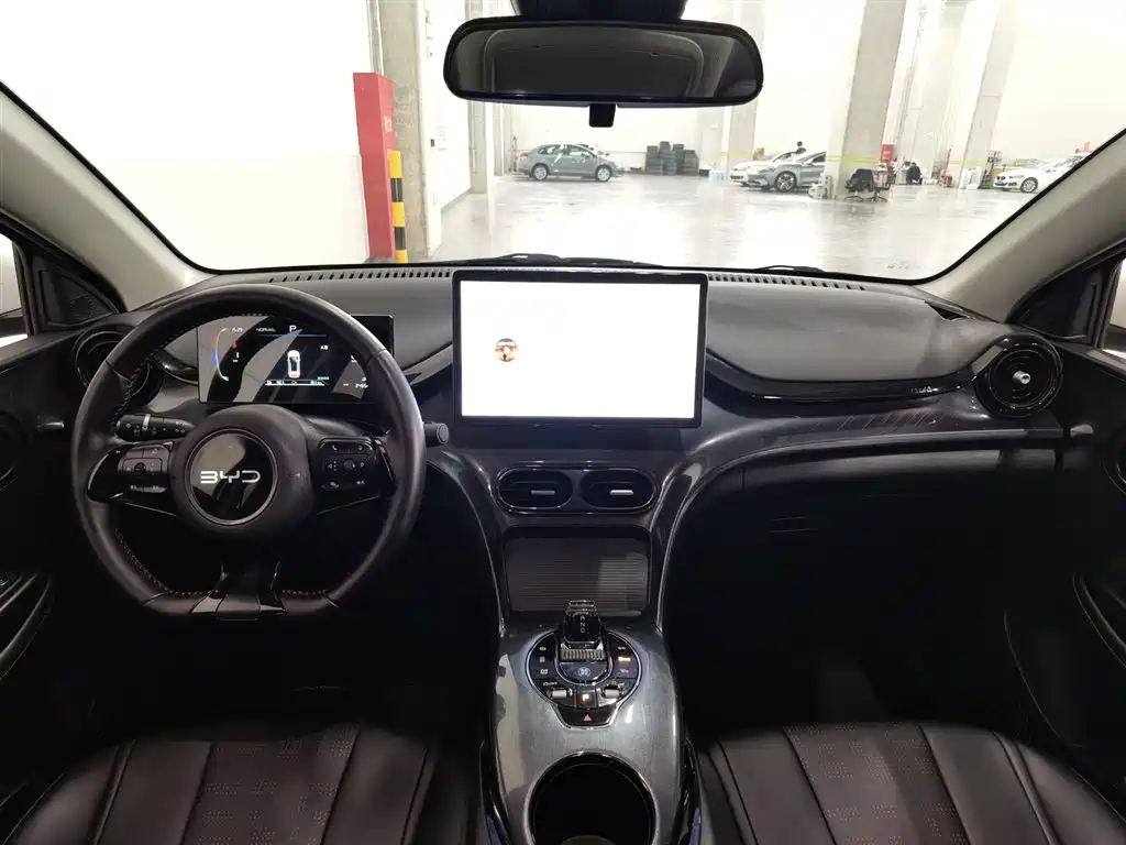 BYD e2 2024
