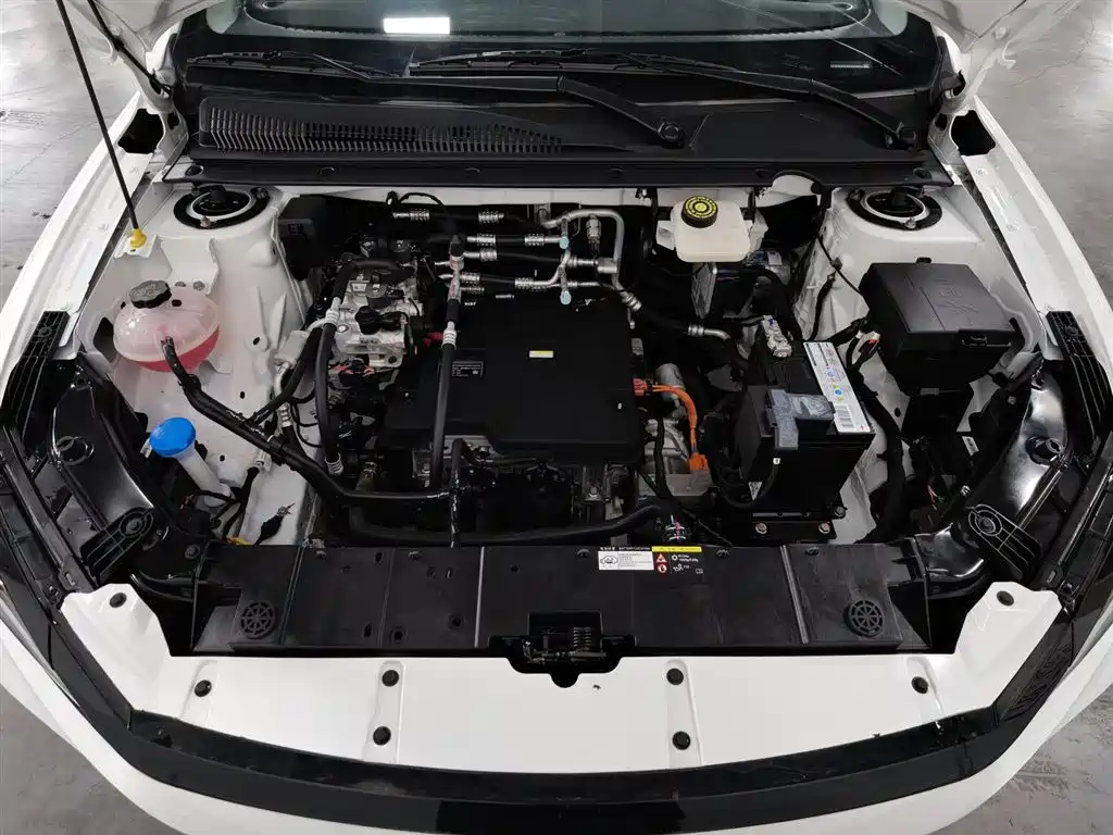 BYD e2 2024