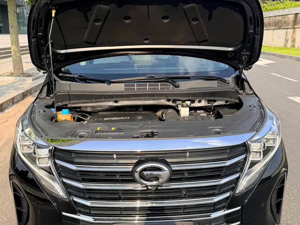 GAC Trumpchi M8 2022 — фото 21