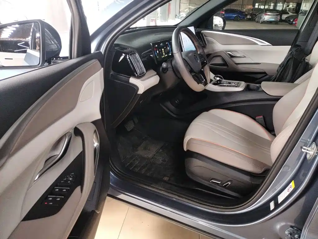 BYD Song Pro New Energy 2024 — фото 12