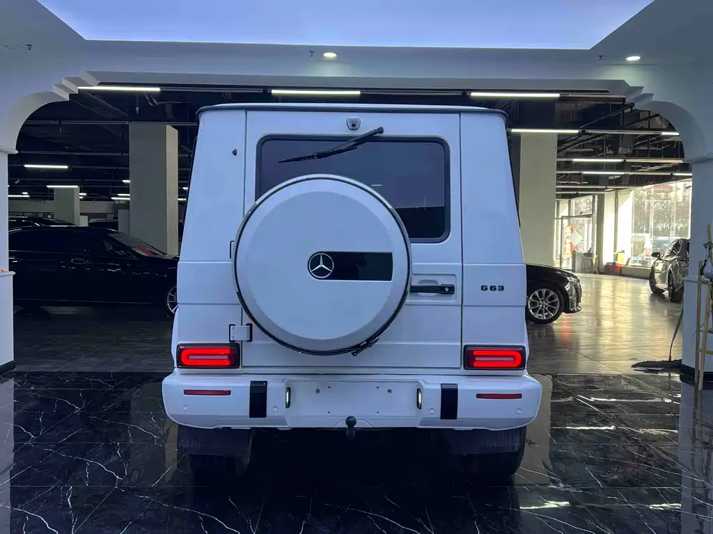 Mercedes-Benz G-Class 2015 — фото 19