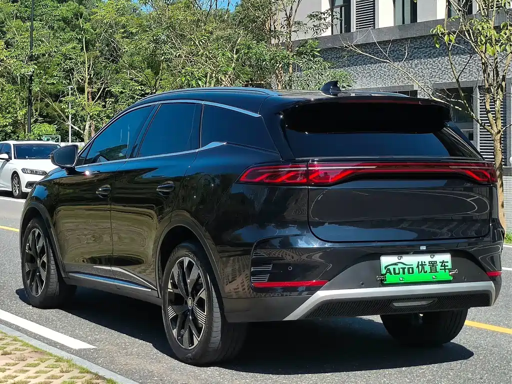 BYD Tang New Energy 2024 — фото 13