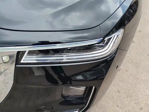 Hongqi H9 2021