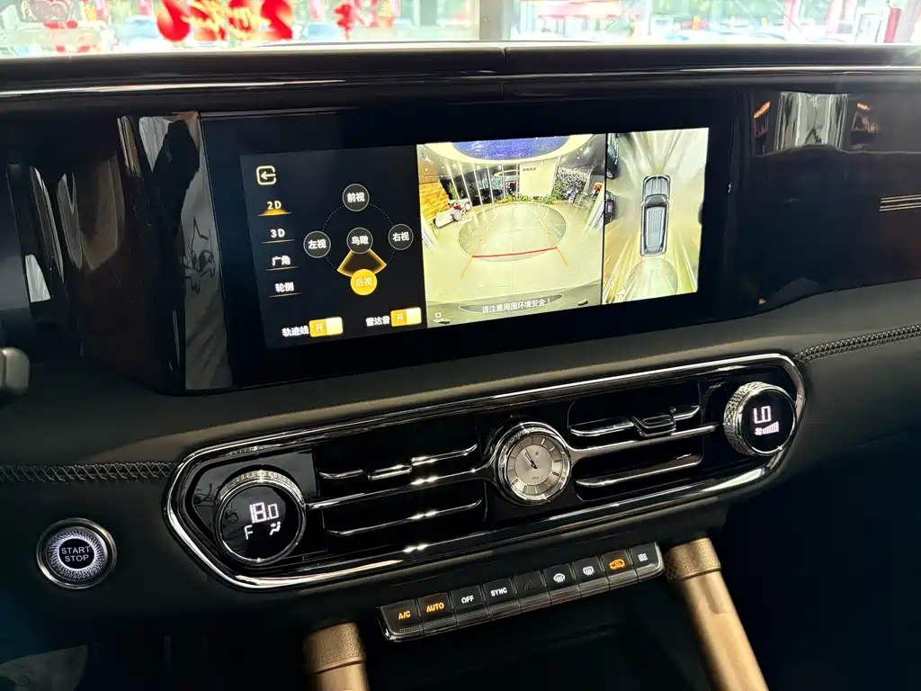 Hongqi Golden Sunflower Guoyao 2022 — фото 27