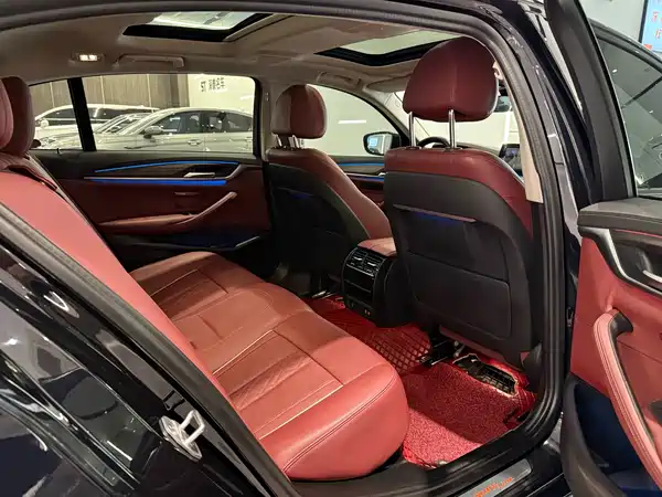 BMW 5 Series New Energy 2021