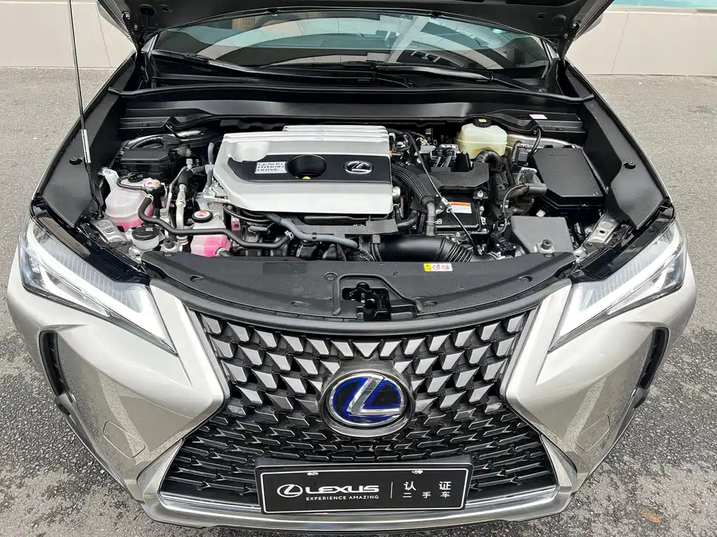 Lexus UX 2020 — фото 4