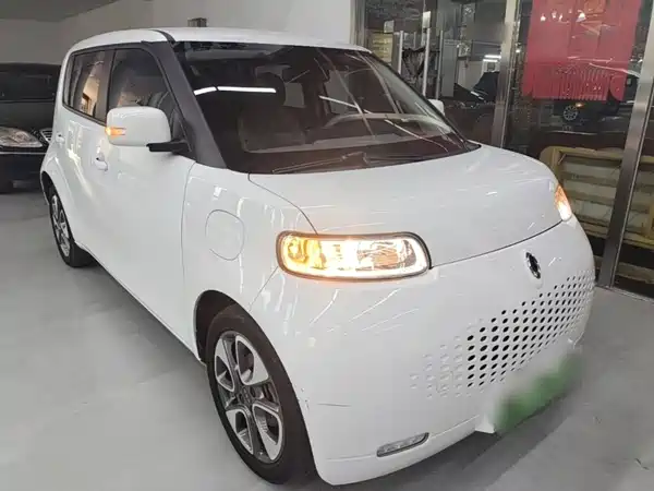Ora White Cat 2020