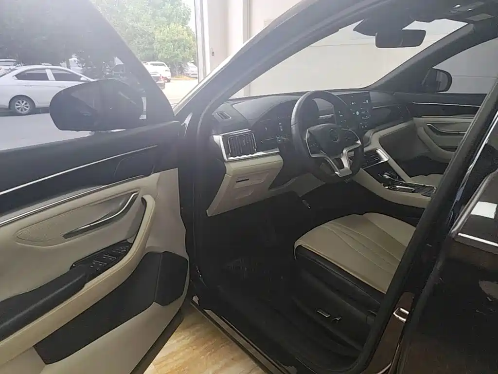 BYD Song PLUS New Energy 2022 — фото 16