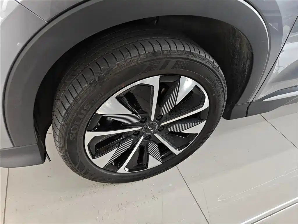 BYD PLUS New Energy 2024 — фото 23