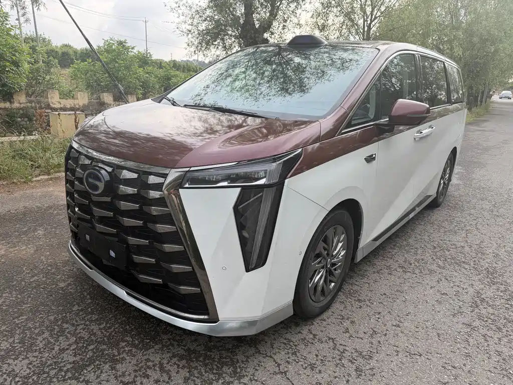GAC Motor Xiangwang M8 2025