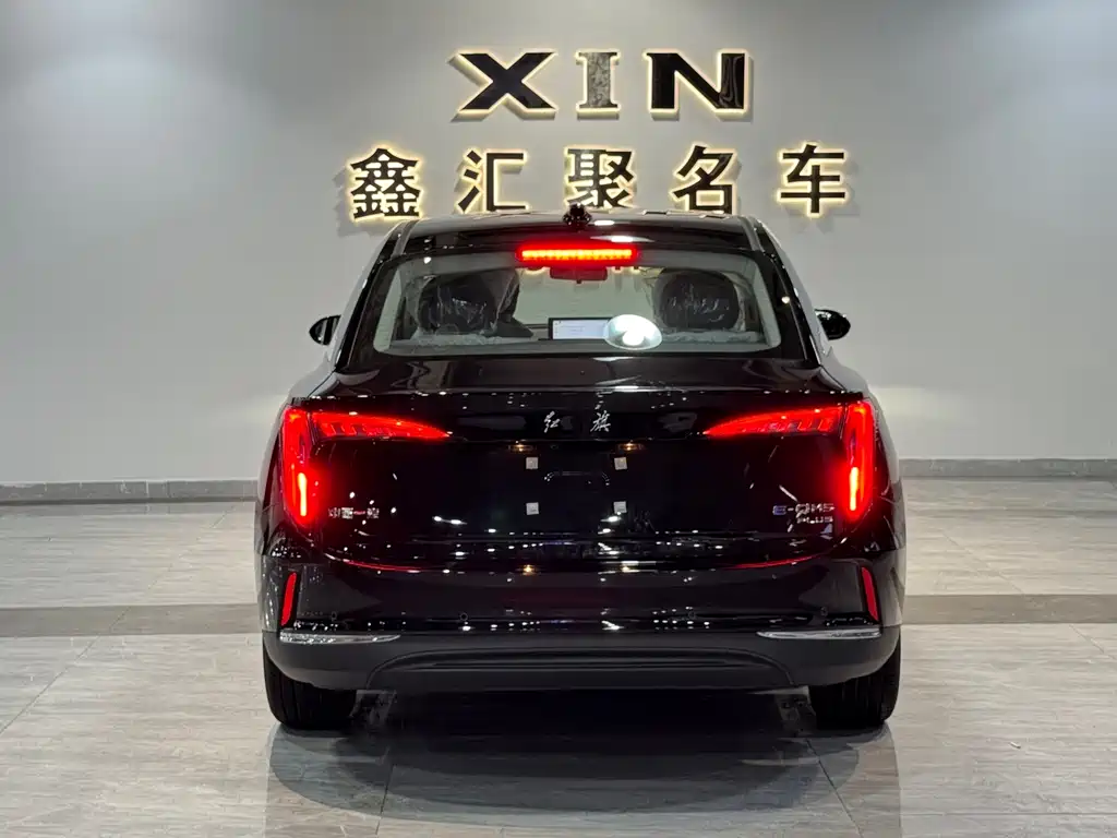 Hongqi E-QM5 — фото 5