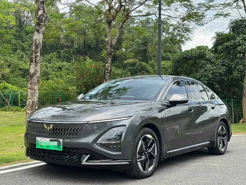Wuling Xingguang 2023