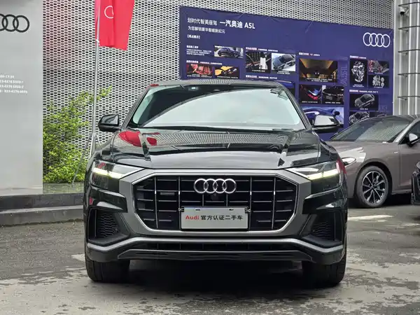 Audi Q8 2019