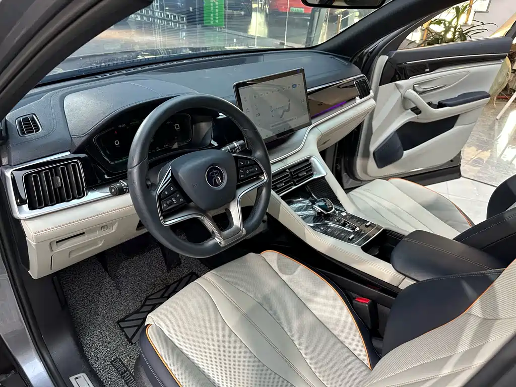 BYD PLUS New Energy 2022 — фото 16