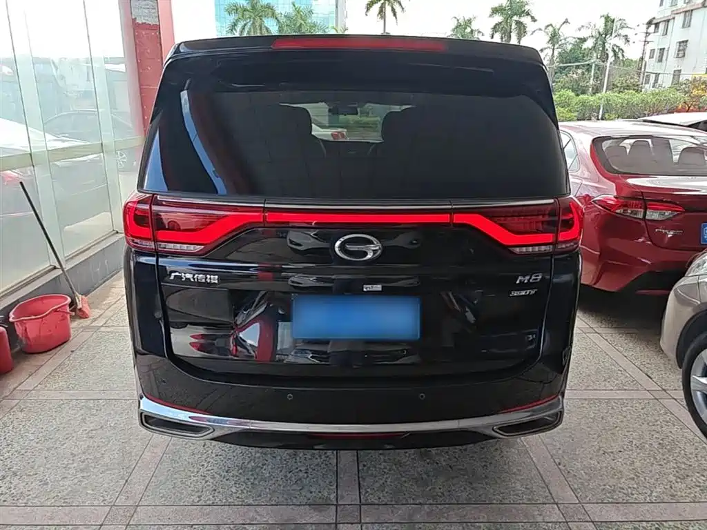 GAC Motor Trumpchi M8 2021 — фото 6