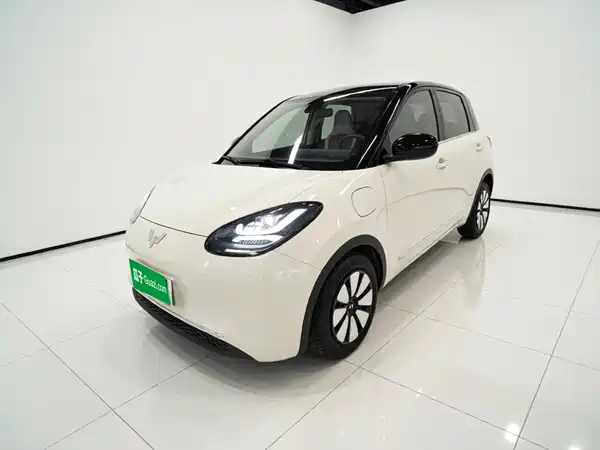 Wuling Bingo 2024